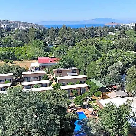 Gaia Tiny Butik Ξενοδοχείο Bitez